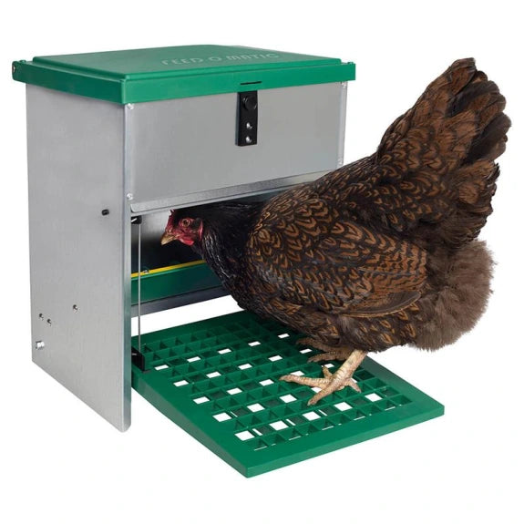 Rottesikret foderautomat til høns - 5kg