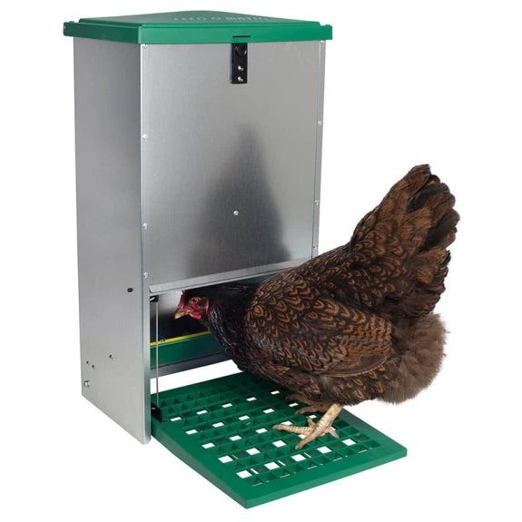 Rottesikret foderautomat til høns - 20kg