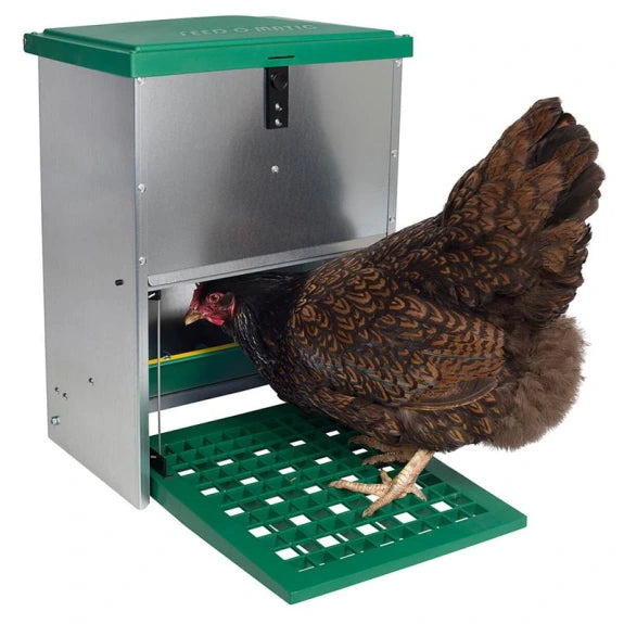 Rottesikret foderautomat til høns - 12kg