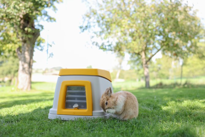 Kaninhule / Kaninhytte "Amigo"