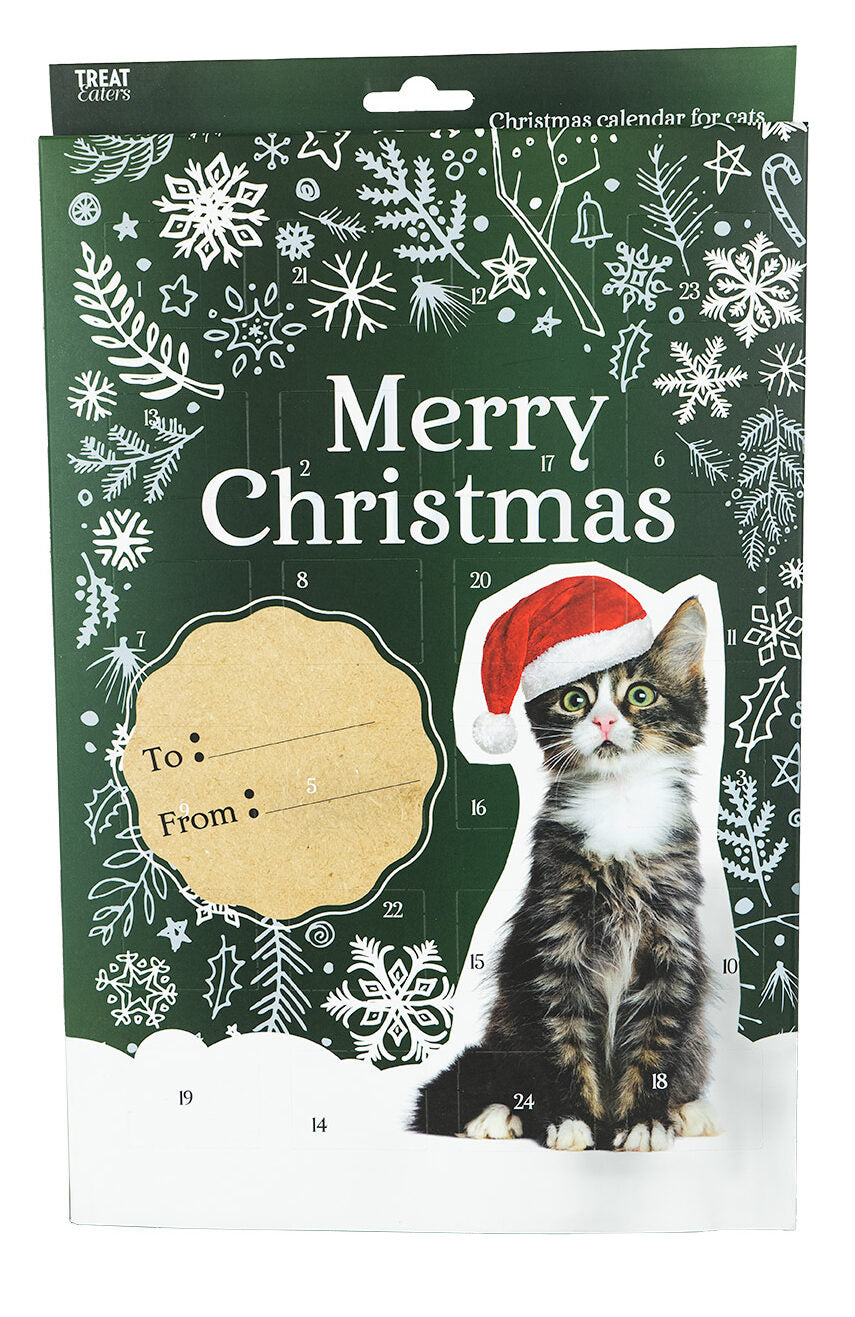 Christmas Calendar Cat
