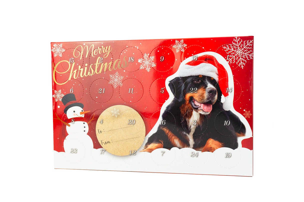 Christmas Calendar Mini Treats, Dog