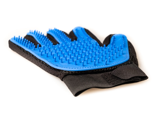 AC Grooming Glove
