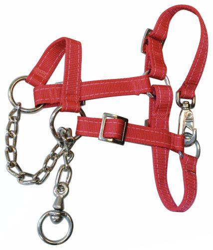 Grime med kæde - malkekvæg kalv rød