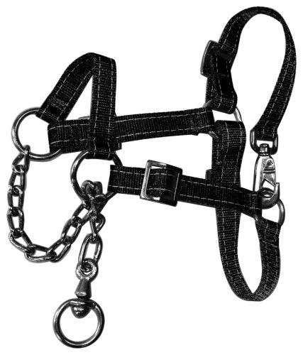 Grime med kæde - fedekvæg kalv sort