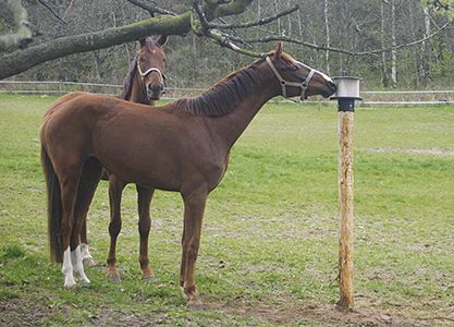 Slikstensholder rund sort