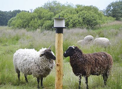 Slikstensholder rund sort