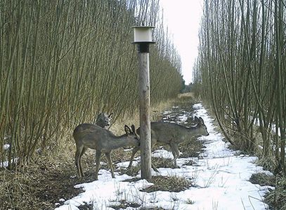 Slikstensholder rund sort