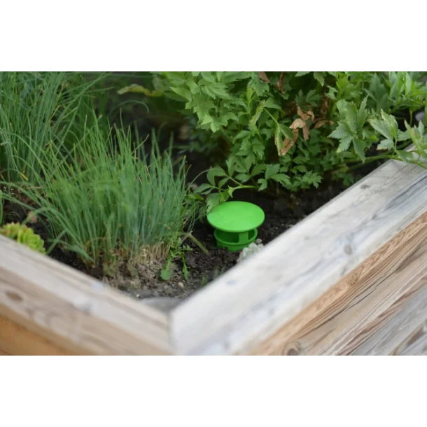 Dræbersneglefælde / Sneglefælde "ZIT"