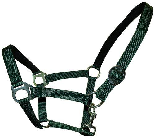 Hestegrime - COB grøn