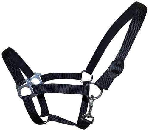 Hestegrime - COB sort