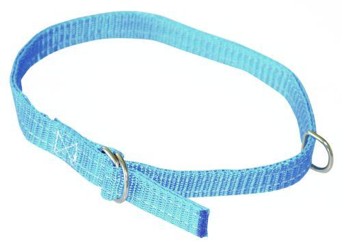 Fårehalsbånd - 20mm 60cm blå