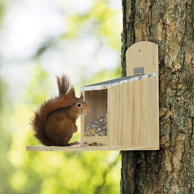 Nøddeautomat M/Zinktag T/Egern