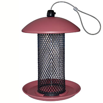 Foderautomat til Nødder Plast