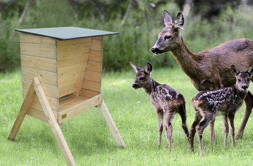 Foderautomat til råvildt 75 ltr