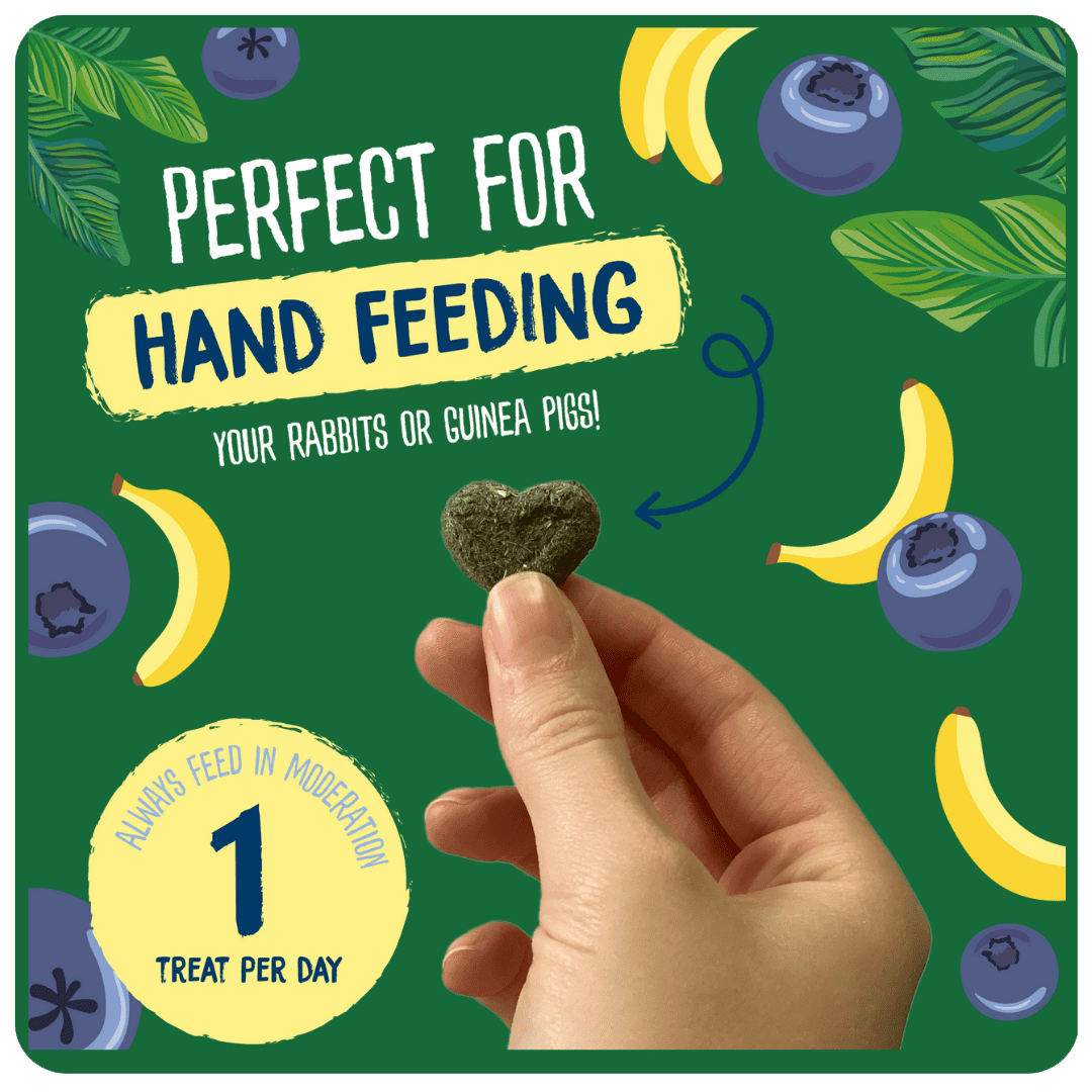 Excel Natures Snack Fruit Feasts g