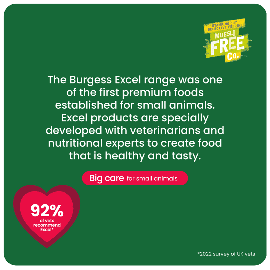 Excel Rat Nuggets 1,5kg