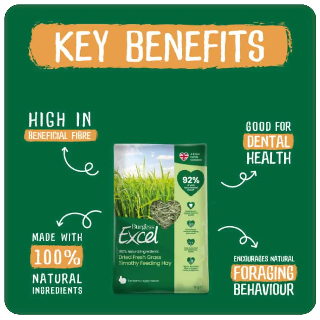 Excel Feeding Hay Dried Fresh Grass 1kg