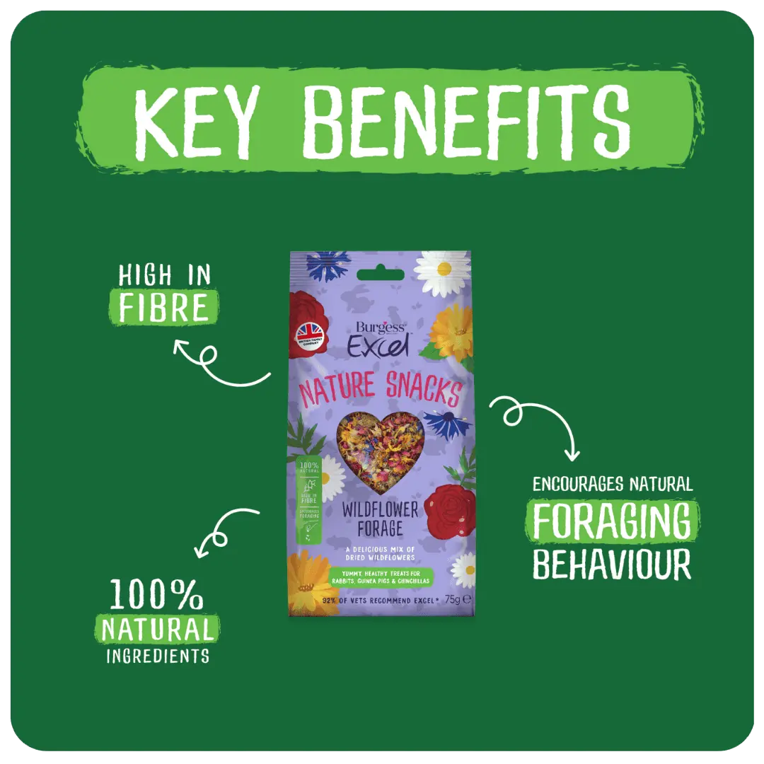 Excel Wildflower Forage 75g