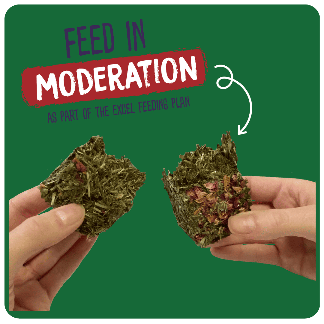 Excel Forage & Feast Bar Rose 60g