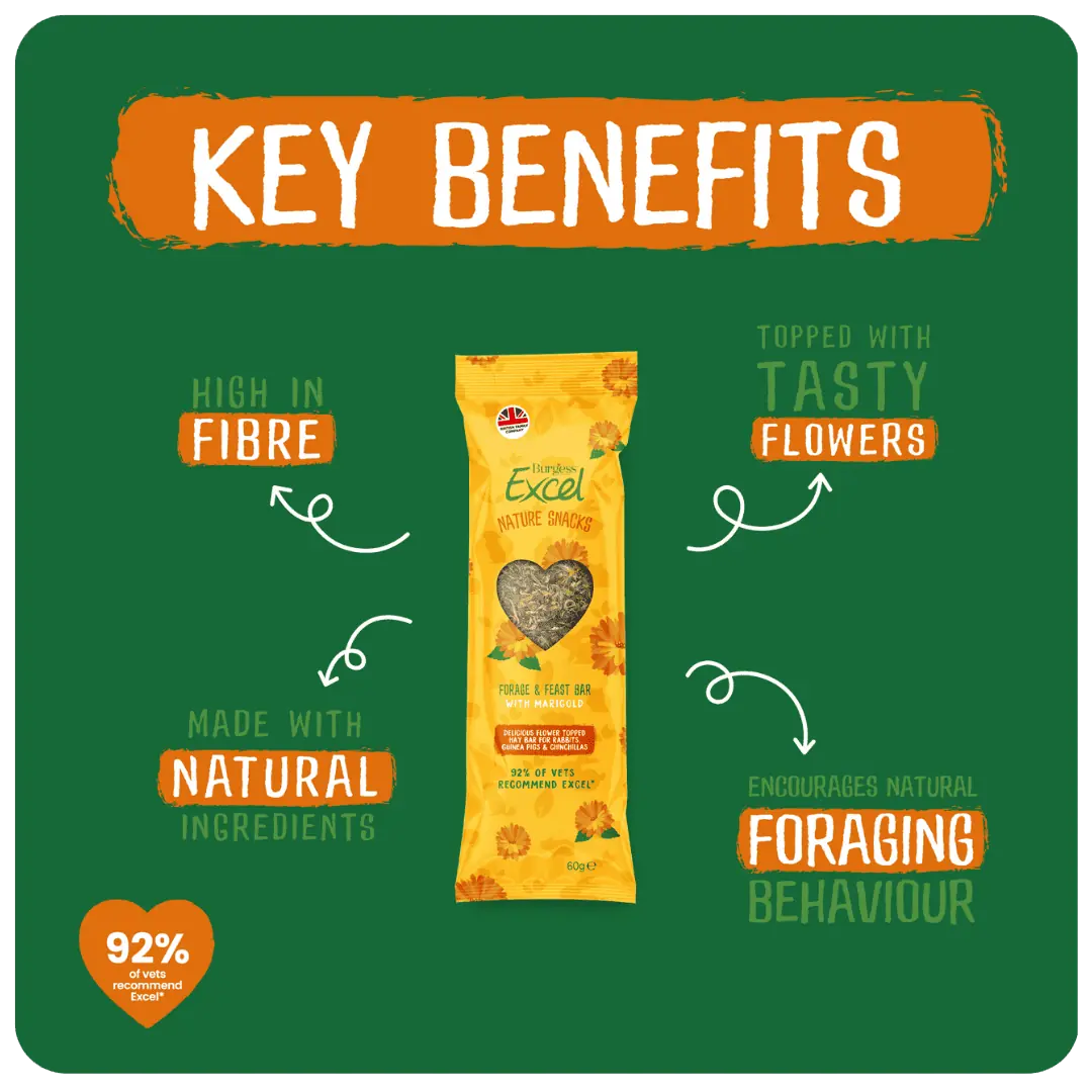 Excel Forage & Feast Bar Marigold 60g