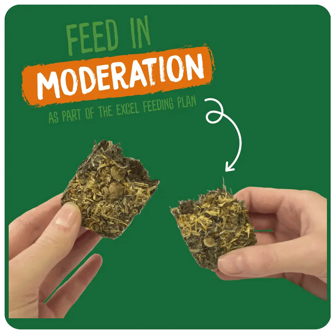 Excel Forage & Feast Bar Marigold 60g