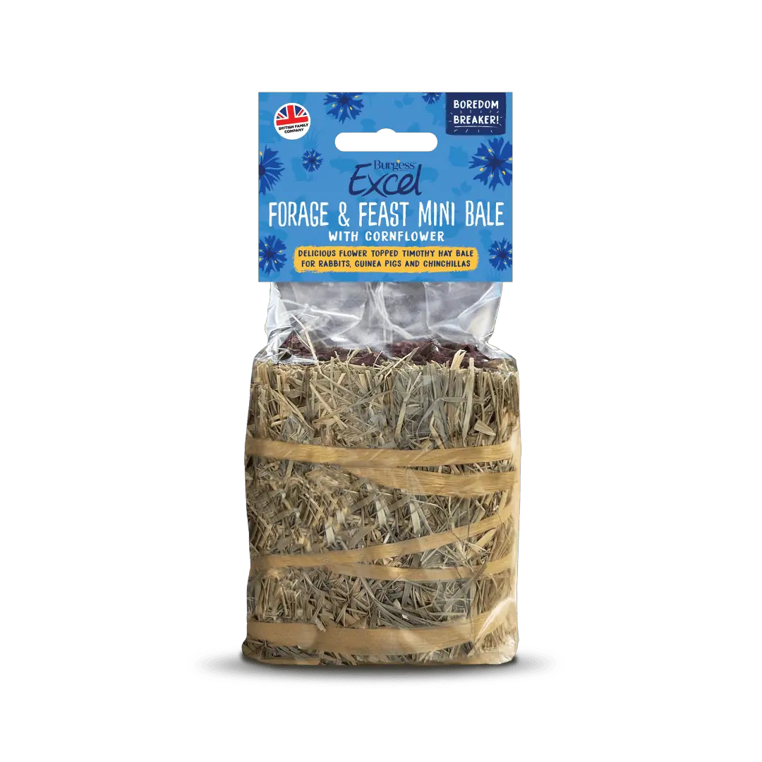 Forg & Feast Mini Bale Cornflower 100g