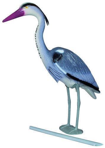 Skræmmer fiskehejre