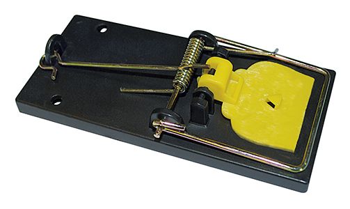 Musefælde Snap plast 2 stk