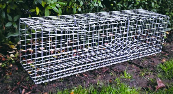 Mårhund Hvalpefælde