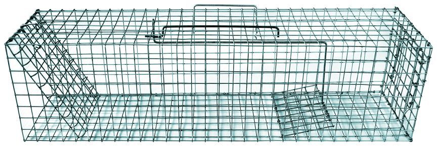 Mårhund Hvalpefælde