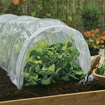 Forspiringstunnel Pl.40X50X310 Cm