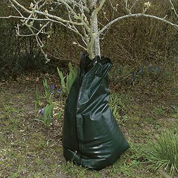 Vandingspose Nyplantede træer 75 L