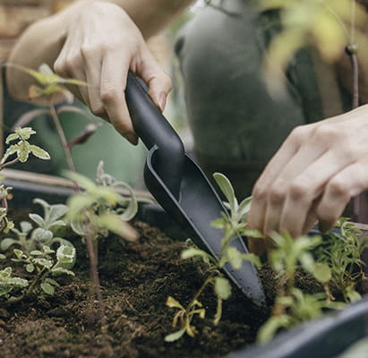 Planteske plast - Smal