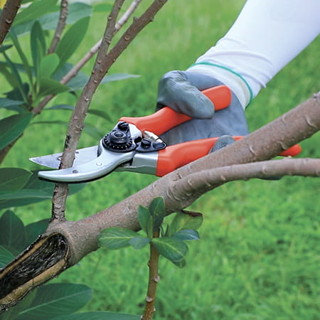 Beskæresaks Tufx Classic 217 mm