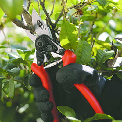 Beskæresaks Tufx Mini 204 mm