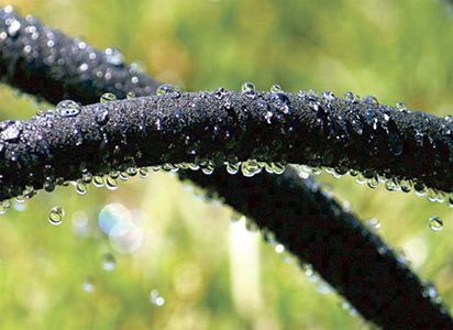 Siveslange Sort 1/2"" m/Kobling 15M