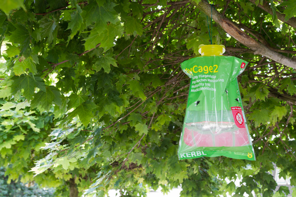 Fluefælde - Ugiftig og effektiv "FlyCage2"