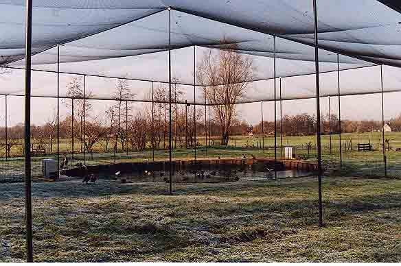 Overnet til hønsegård / Voliere - 28 mm masker - 3,5 x 25 meter