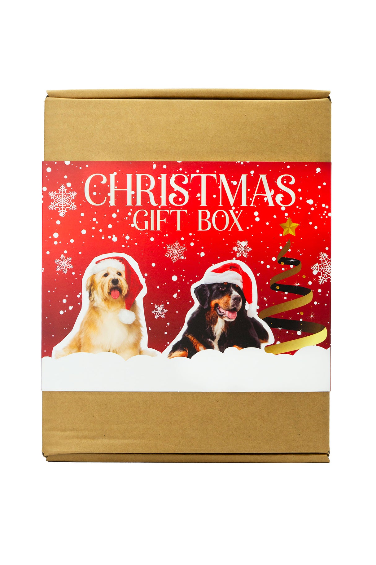 X-mas Gift Box
