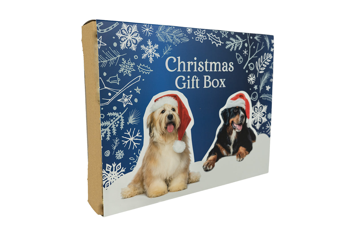 X-mas Gift Box