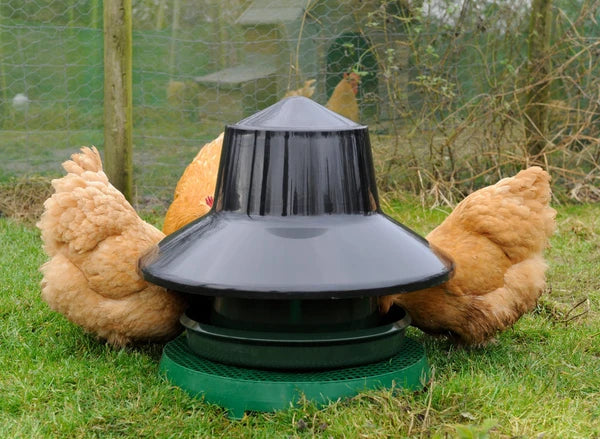 KING Feeder - foderautomat til fasaner og fjerkræ - 25kg