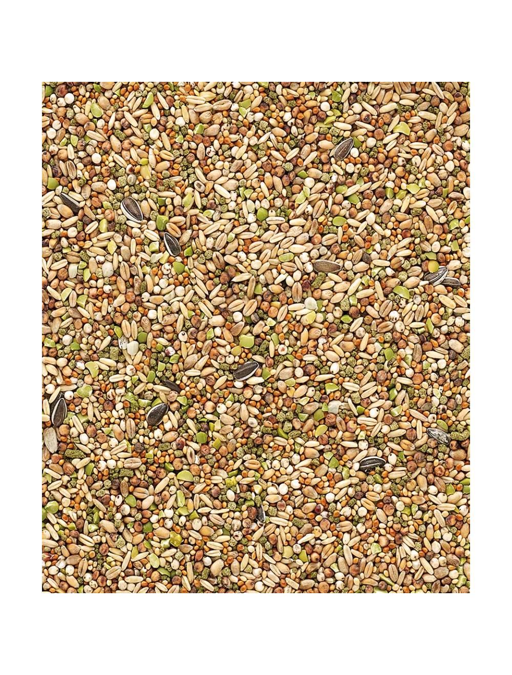 Country's Best Garden Mix - 1kg