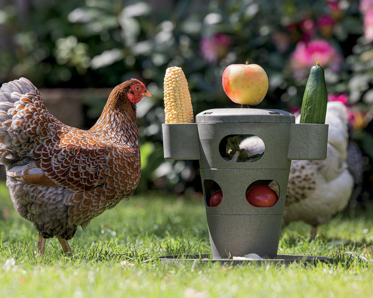 Snacktårn til høns - 100% genbrugsplast