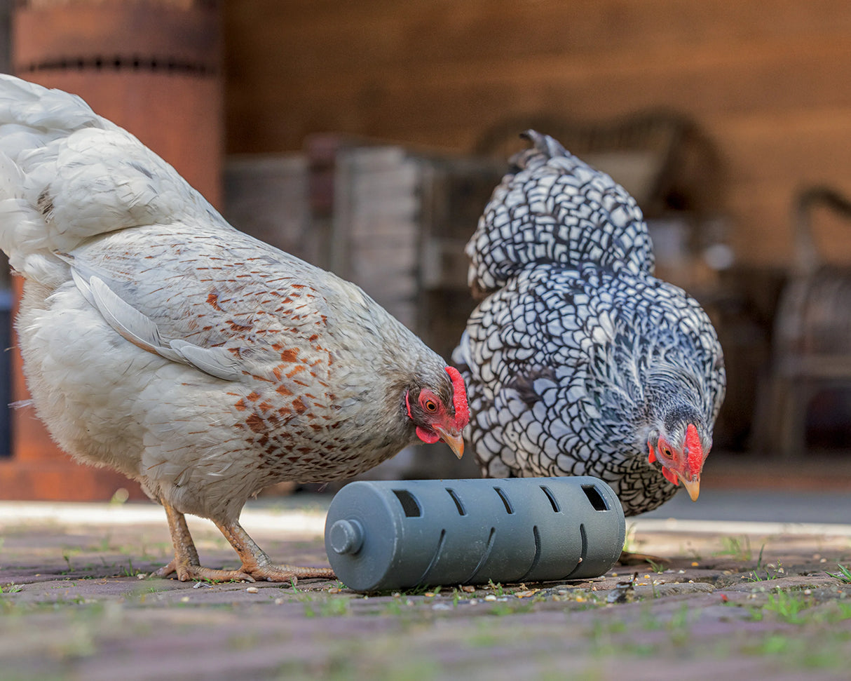 Snackrulle til høns - 100% genbrugsplast