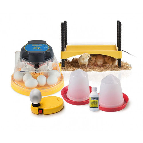 Brinsea ECO Startpakke - Rugemaskine, Kyllingemoder, æggelyser mm.