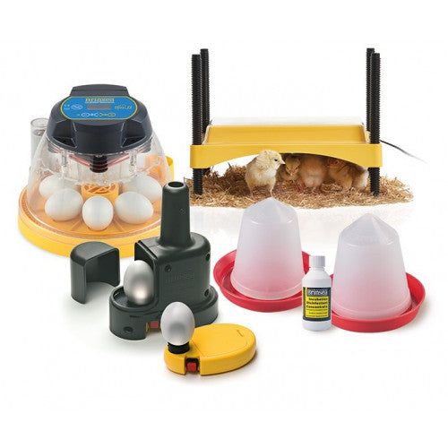 Brinsea ADVANCE Startpakke - Rugemaskine, Kyllingemoder, æggelyser mm.
