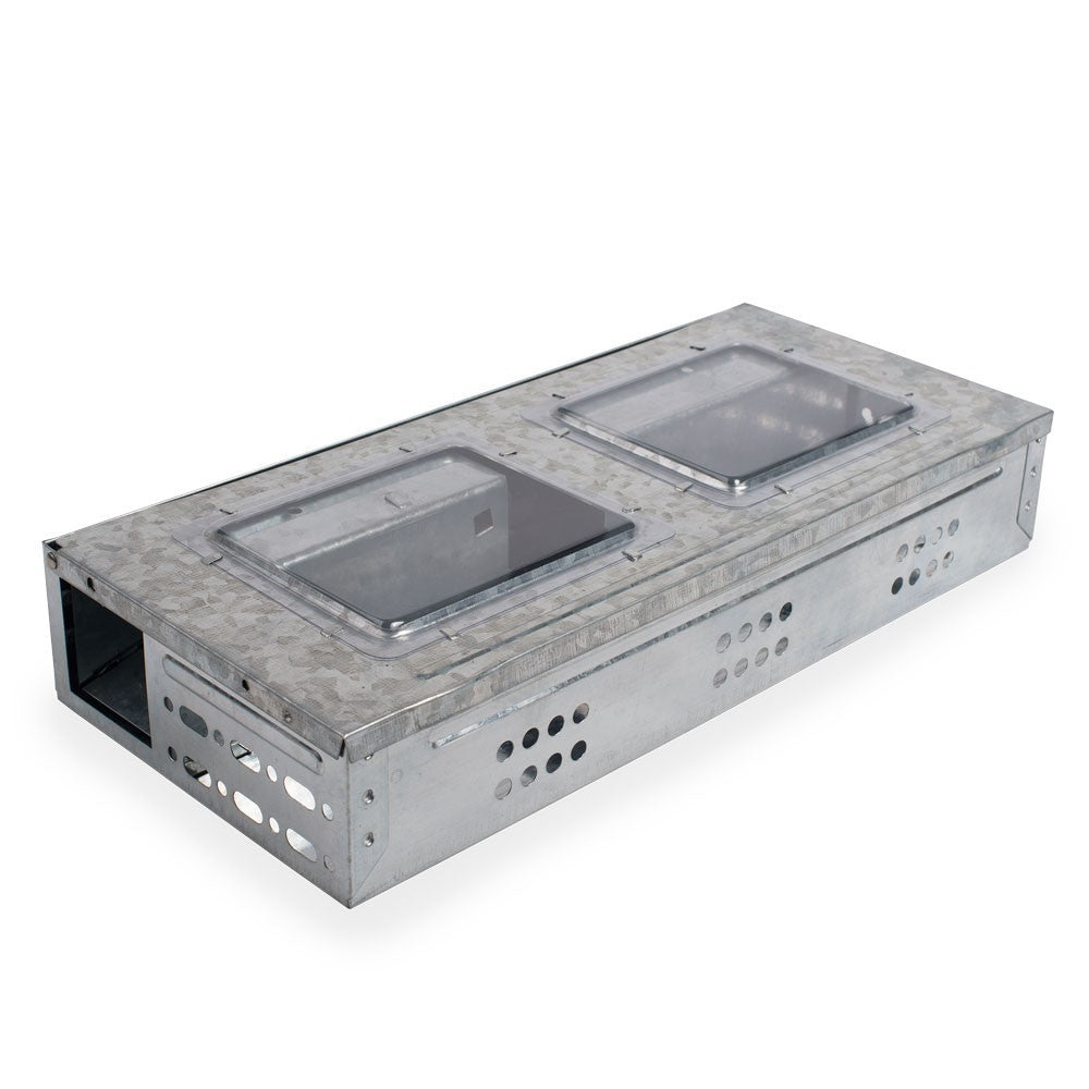 Rottefælde MultiCatch Massefangst