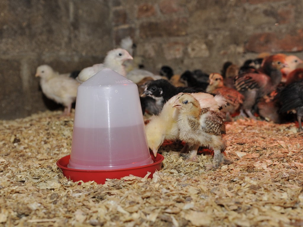 Plastikvander 0,6 ltr. - Smal vandrende - Fasan og vagtelvander