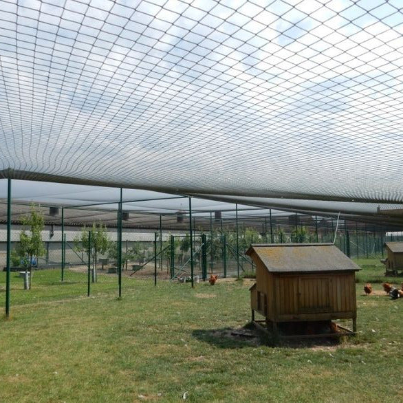 Overnet til hønsegård / Voliere - 70 mm masker - 5 x 10 meter